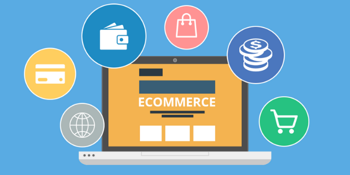 ecommerce website development